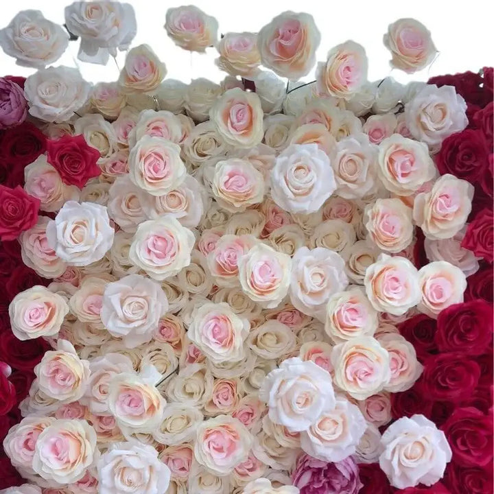 Light pink roses with coral centers in a romantic floral backdrop