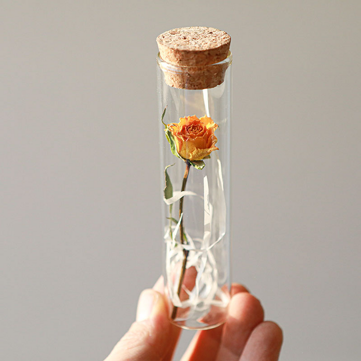 Dried Preserved Flower In Glass Test Tube