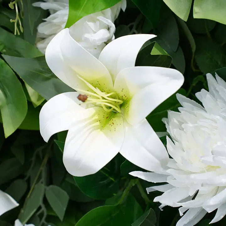 Macro shot of a white lily with green center detail from the floral wall.