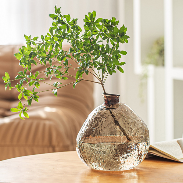 Wabi-Sabi Style Irregular-Shaped Glass Vase