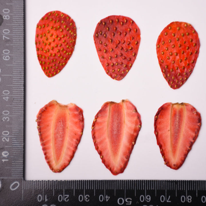 5 Pcs Dried Pressed Strawberry for DIY Crafts