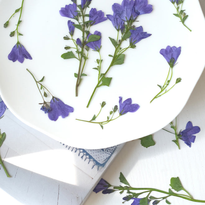 Real Dried Pressed Bellflowers for DIY Crafts