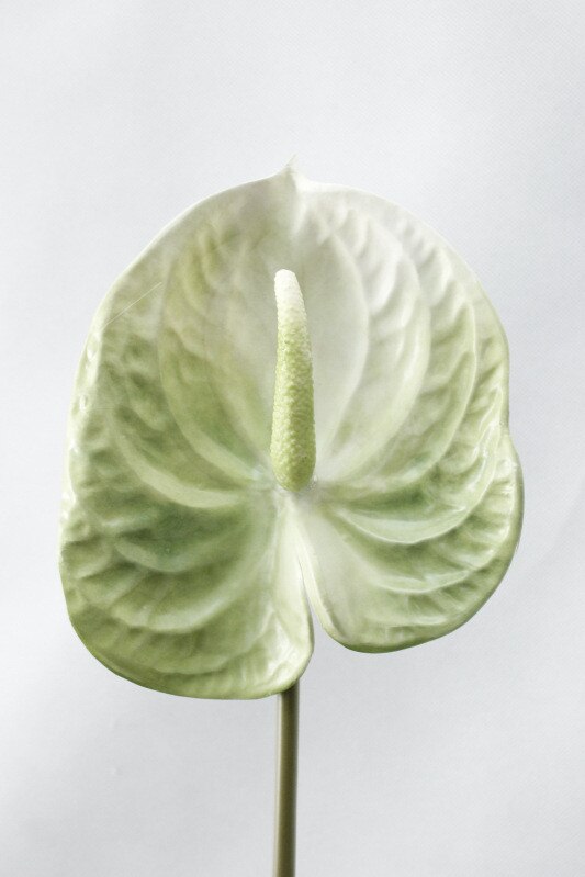 Artificial Anthurium Branch Fake Plants, perfect as artificial plants for outdoors.