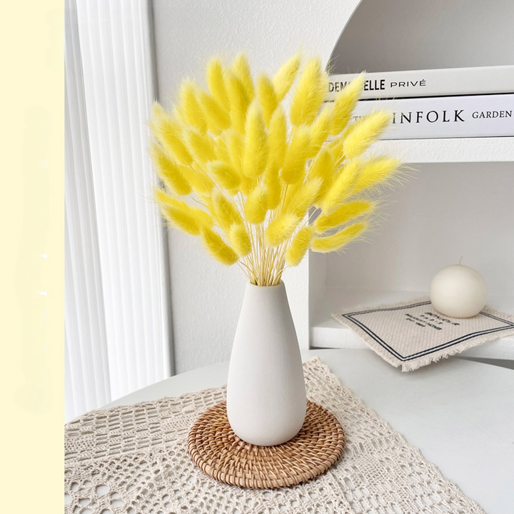 Small White Vase with Dried Rabbit Tail Grass