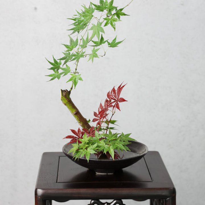 Japanese Ikebana Vase with Flower Frog