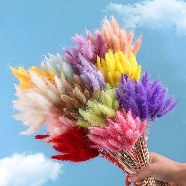 60pcs Natural Dried Bunny Rabbit Grass