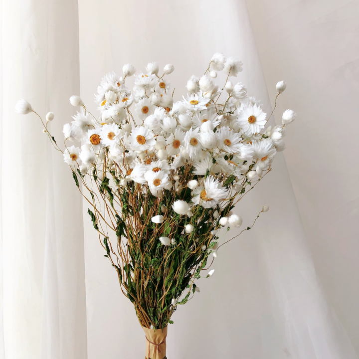 Natural Dried White Daisy Bouquet 100 Head