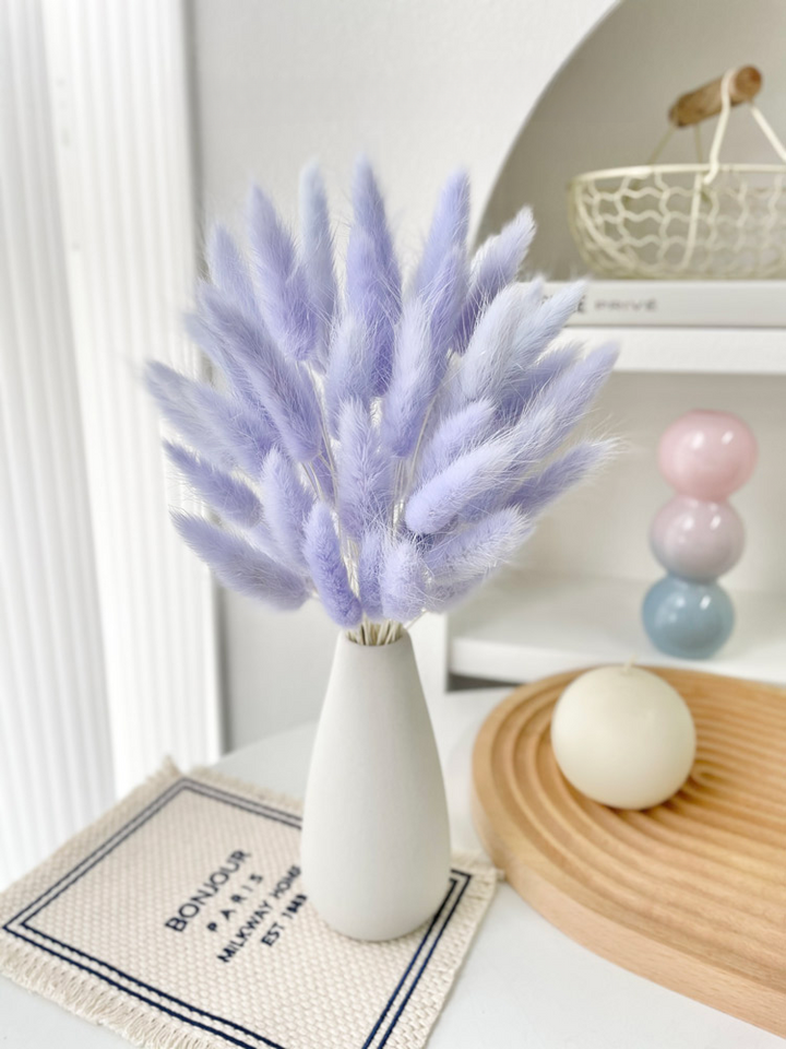 Small White Vase with Dried Rabbit Tail Grass