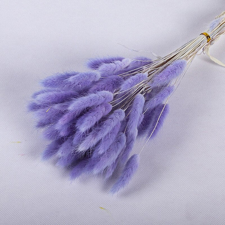 60pcs Natural Dried Bunny Rabbit Grass