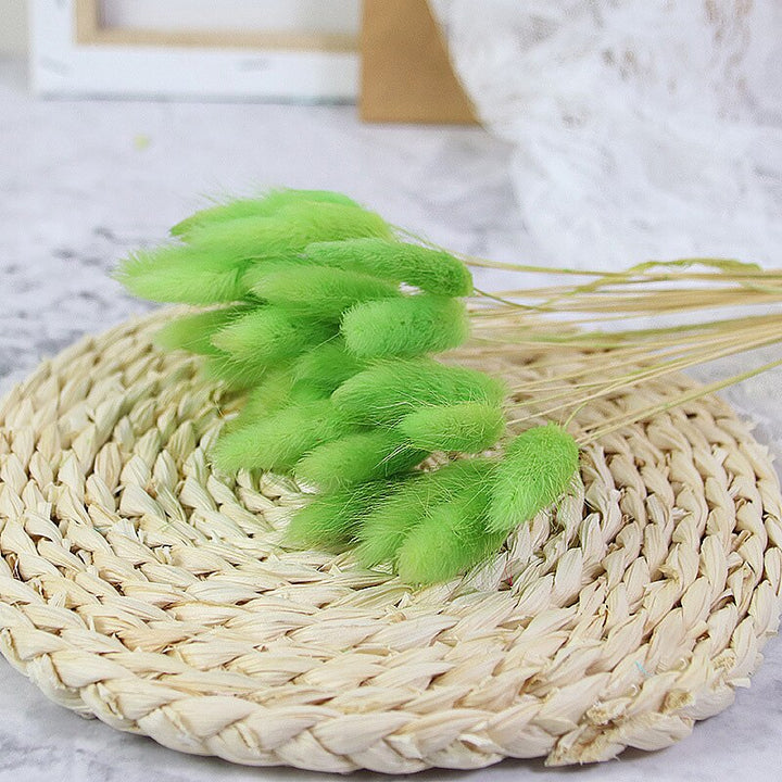 60pcs Natural Dried Bunny Rabbit Grass