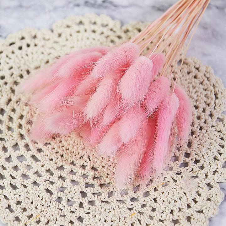 60pcs Natural Dried Bunny Rabbit Grass