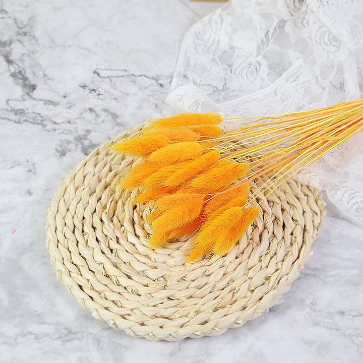 60pcs Natural Dried Bunny Rabbit Grass