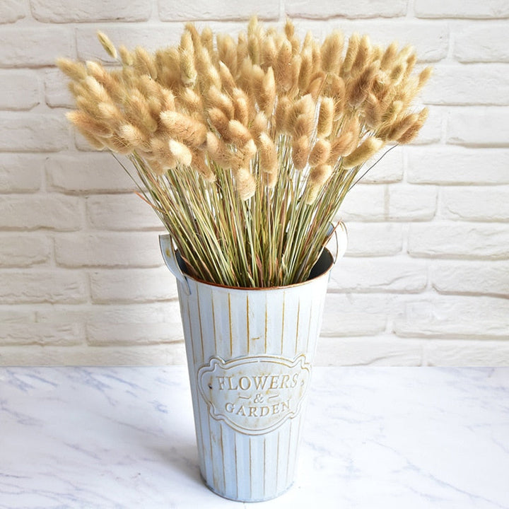 60pcs Natural Dried Bunny Rabbit Grass