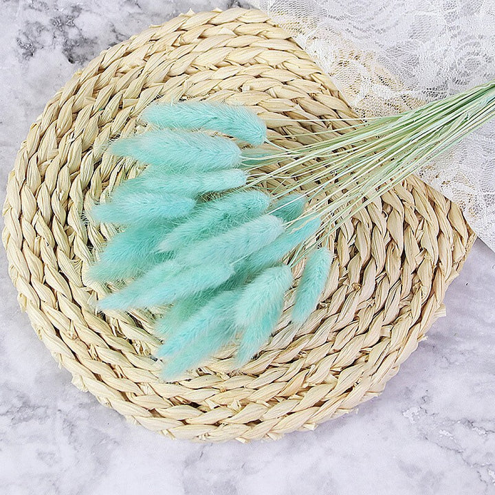 60pcs Natural Dried Bunny Rabbit Grass