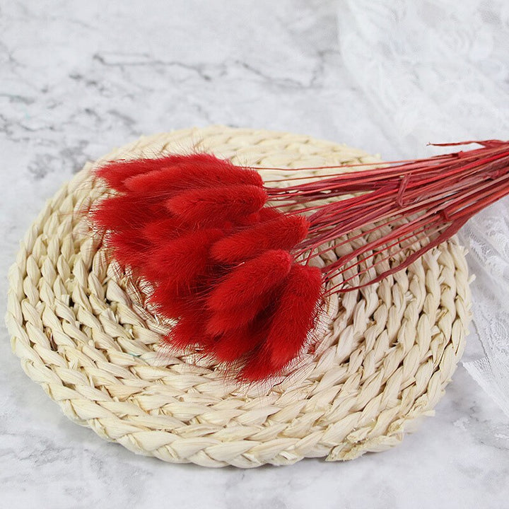 60pcs Natural Dried Bunny Rabbit Grass