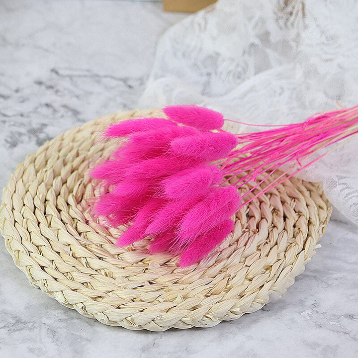 60pcs Natural Dried Bunny Rabbit Grass