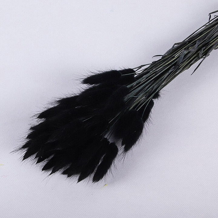 60pcs Natural Dried Bunny Rabbit Grass