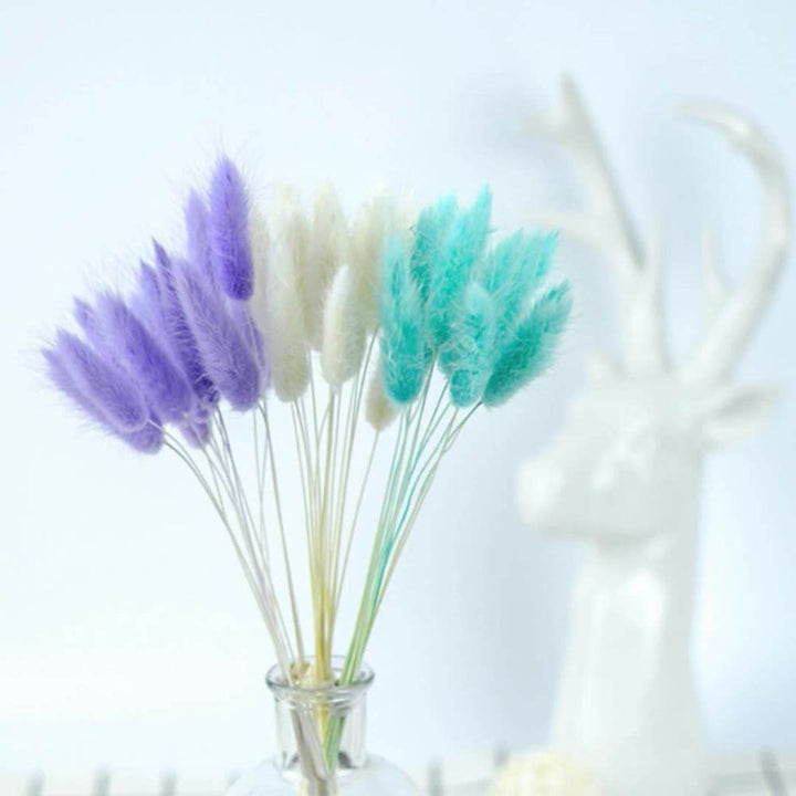 60pcs Natural Dried Bunny Rabbit Grass