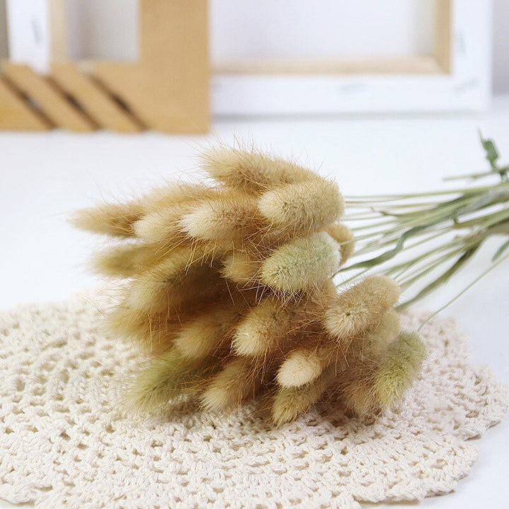 60pcs Natural Dried Bunny Rabbit Grass