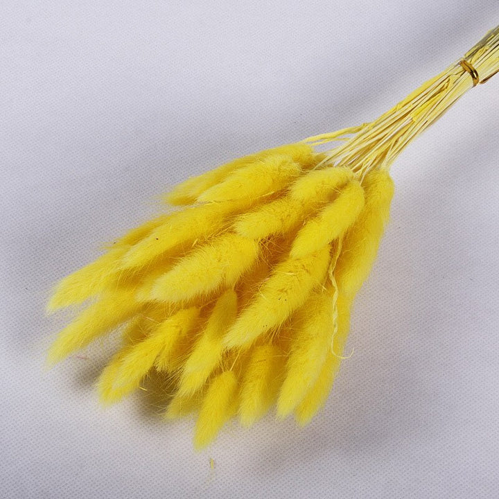 60pcs Natural Dried Bunny Rabbit Grass