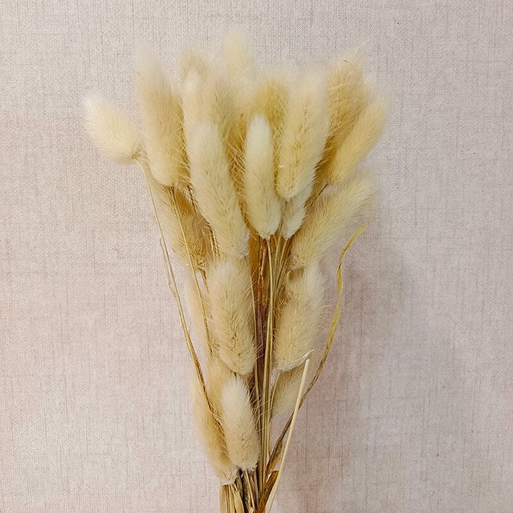 60pcs Natural Dried Bunny Rabbit Grass
