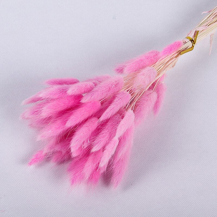 60pcs Natural Dried Bunny Rabbit Grass
