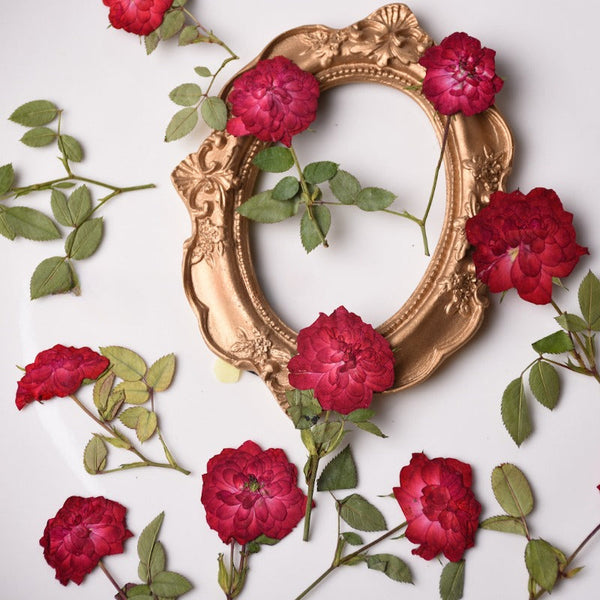 6 Pcs Dried Pressed Red Roses for Resin Arts