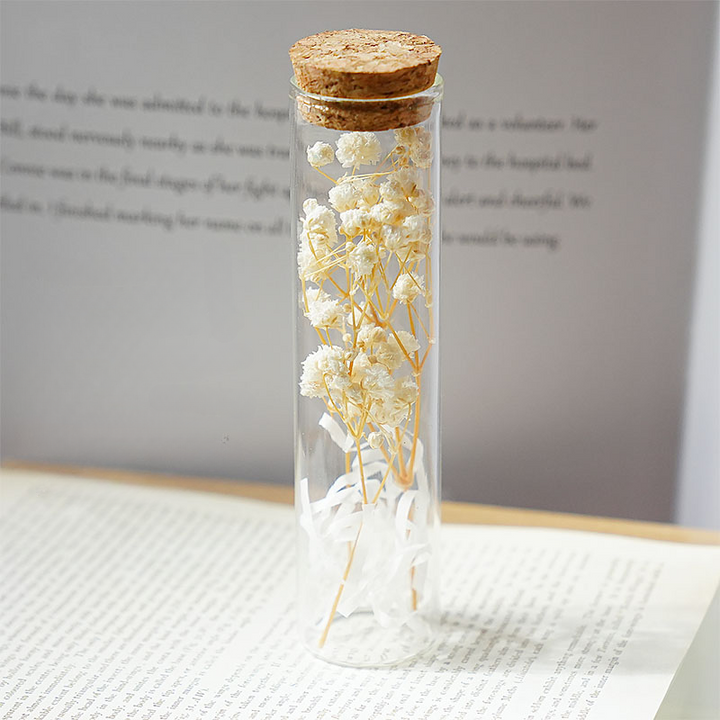 Dried Preserved Flower In Glass Test Tube