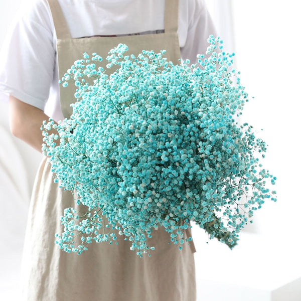 Natural Dried Preserved Baby's Breath Bunch