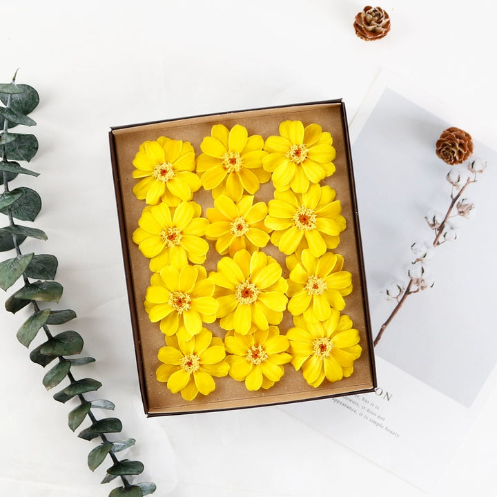 Preserved Daisy DIY Craft Kit – EarthMatters Imported Floral Material