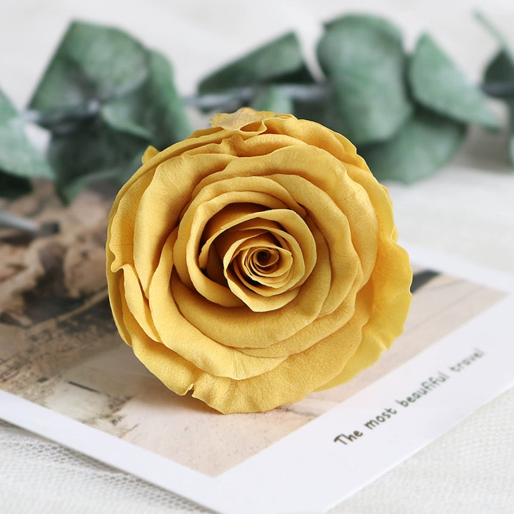 Preserved Single Rose Head for DIY Crafting – 4-5cm, Multiple Color Options