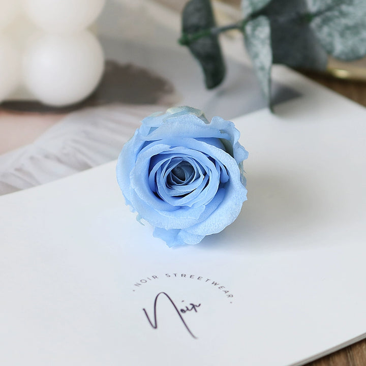 Preserved Mini Roses – 2-3CM Single Bloom for DIY Crafts, Multi-Color Options