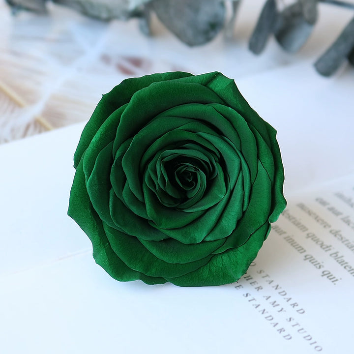 preserved-roses-5-6cm-single-rose-for-floral-decorations-and-gifts