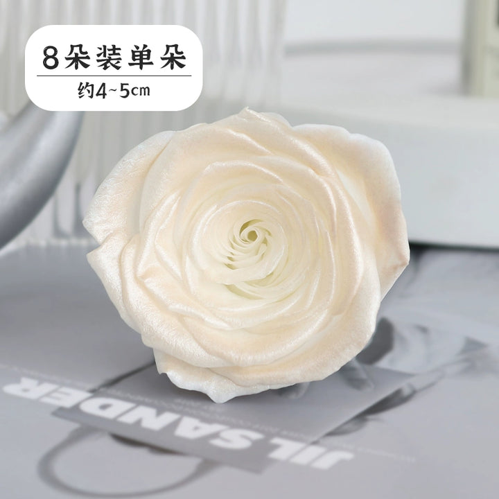 Pearlescent Preserved Rose For DIY Bouquet – 5-6CM Bloom for Crafting and Decor