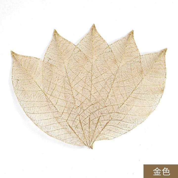 transparent-skeleton-leaves-for-diy-floral-decoration-7-9cm-multi-color-preserved-leaves