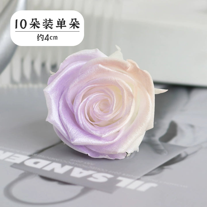 Pearlescent Preserved Rose For DIY Bouquet – 5-6CM Bloom for Crafting and Decor