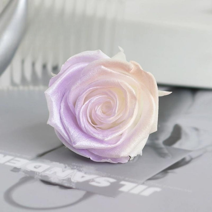 Pearlescent Preserved Rose For DIY Bouquet – 5-6CM Bloom for Crafting and Decor