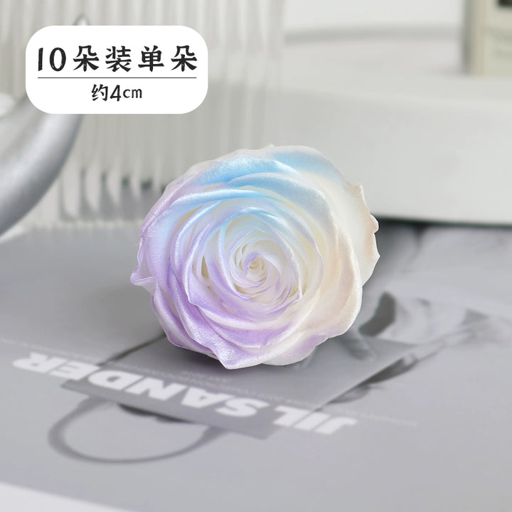 Pearlescent Preserved Rose For DIY Bouquet – 5-6CM Bloom for Crafting and Decor