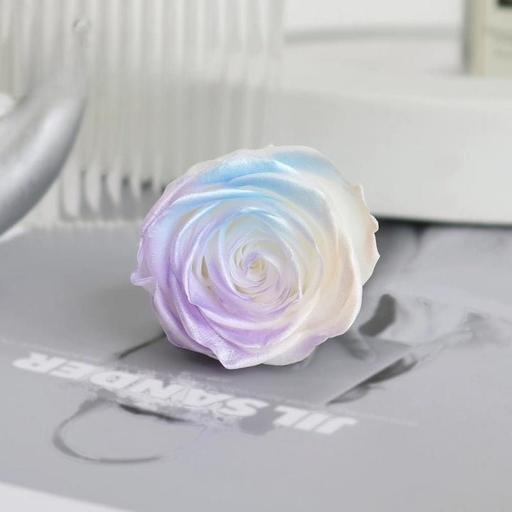 Pearlescent Preserved Rose For DIY Bouquet – 5-6CM Bloom for Crafting and Decor