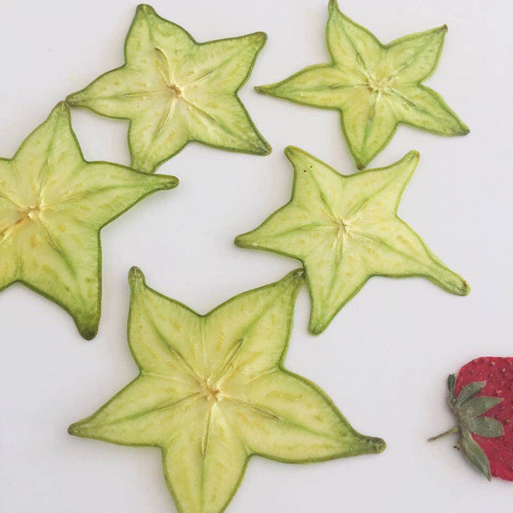 5 Pcs Dried Pressed Star Fruit for DIY Crafts