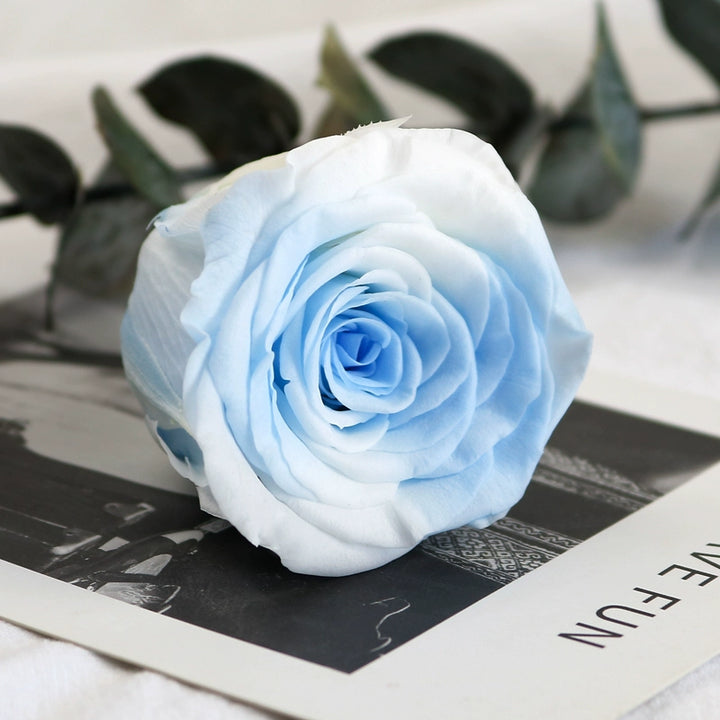 Preserved Single Rose Head for DIY Crafting – 4-5cm, Multiple Color Options