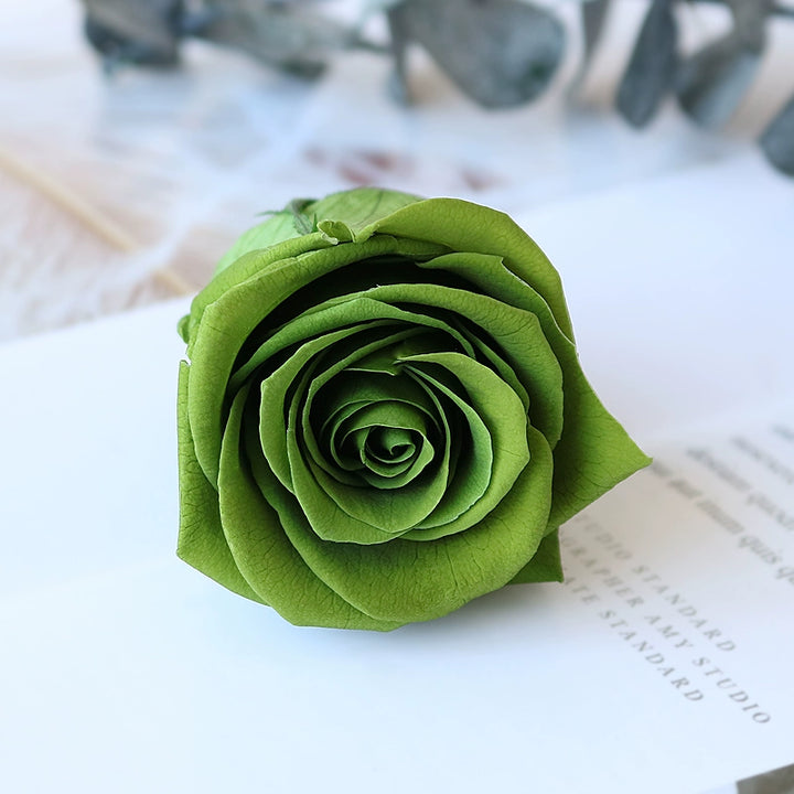 Preserved Single Rose Head for DIY Crafting – 4-5cm, Multiple Color Options