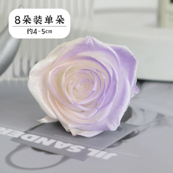 Pearlescent Preserved Rose For DIY Bouquet – 5-6CM Bloom for Crafting and Decor