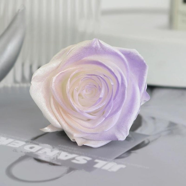 Pearlescent Preserved Rose For DIY Bouquet – 5-6CM Bloom for Crafting and Decor