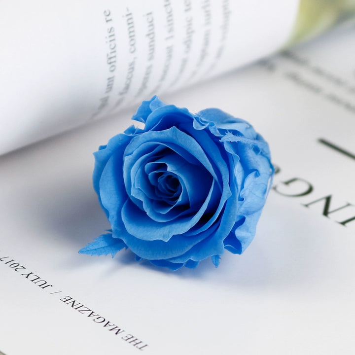 Mini Preserved Roses 2-15cm for Keychain and DIY Crafts