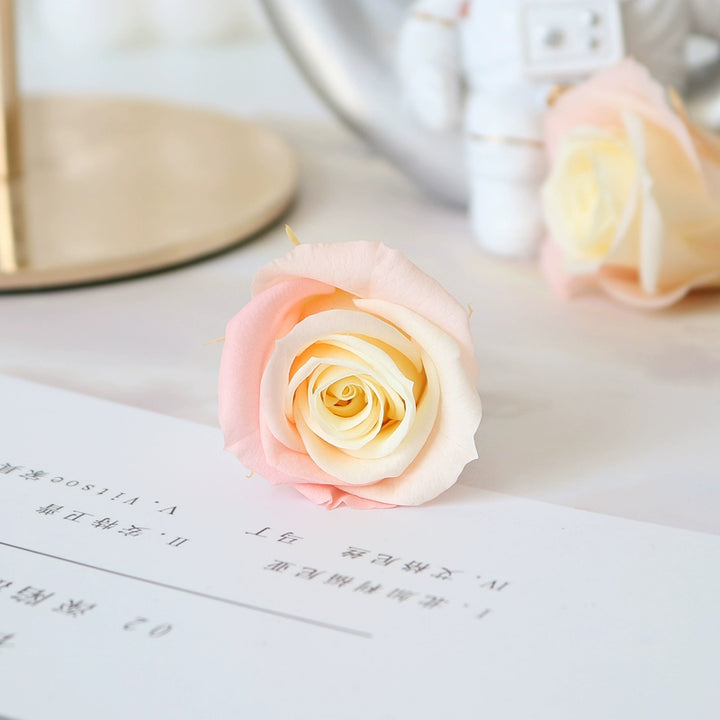 Elegant Preserved Primavera Roses - Single Bloom 3.5-4.5cm