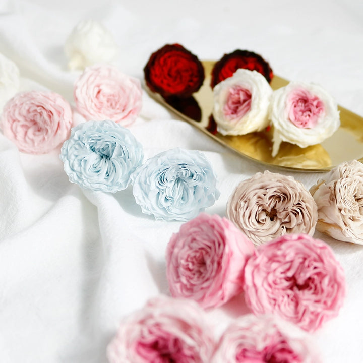 David Austin Preserved Roses DIY Kit – 3-6cm Decorative Flowers for Special Occasions