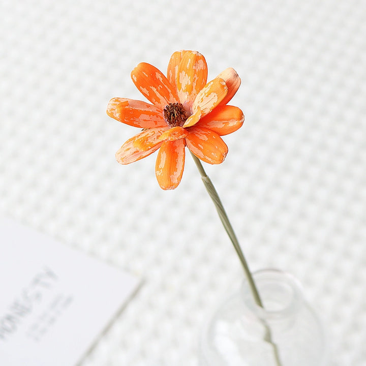 Colorful Preserved Daisy Flowers – Single Bloom for DIY Floral Crafts