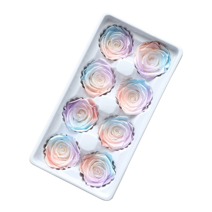 Iridescent Preserved Roses, 2-6cm Pack