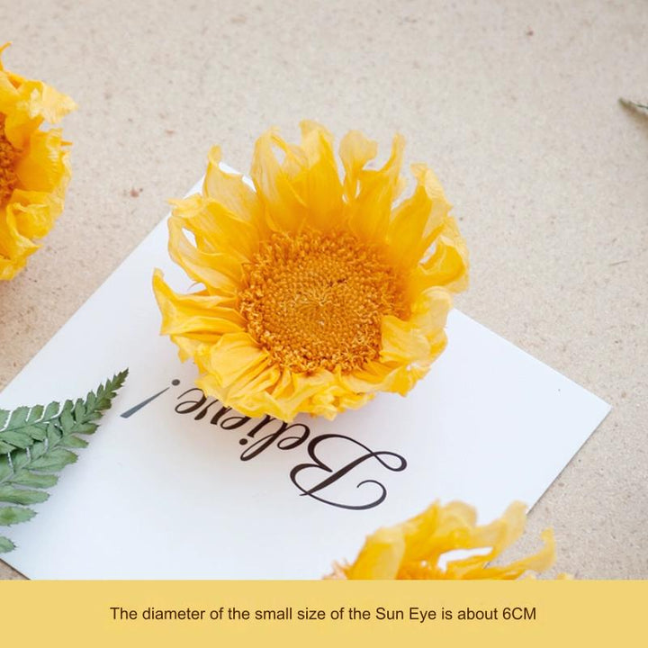 Preserved Sunflower – 7CM Single Bloom for DIY Floral Arrangements and Decor